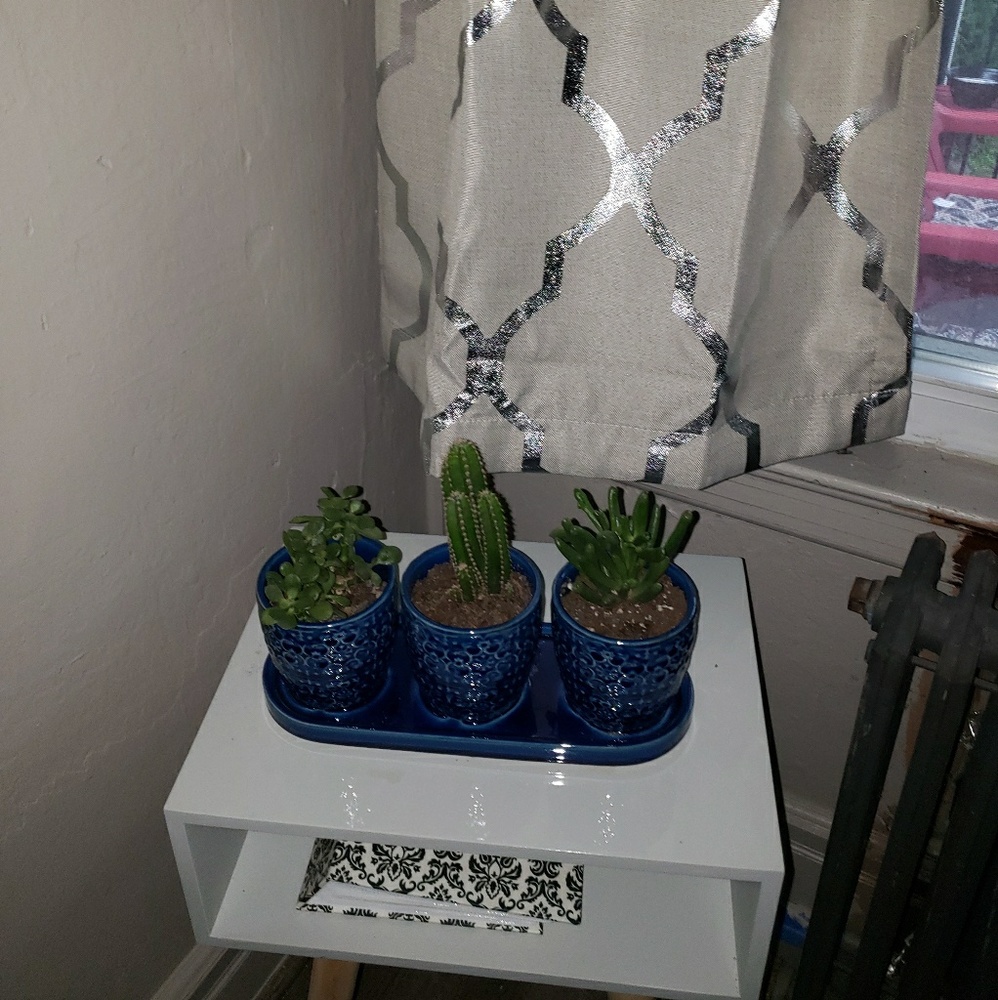 Meet your Posher, Yolanda